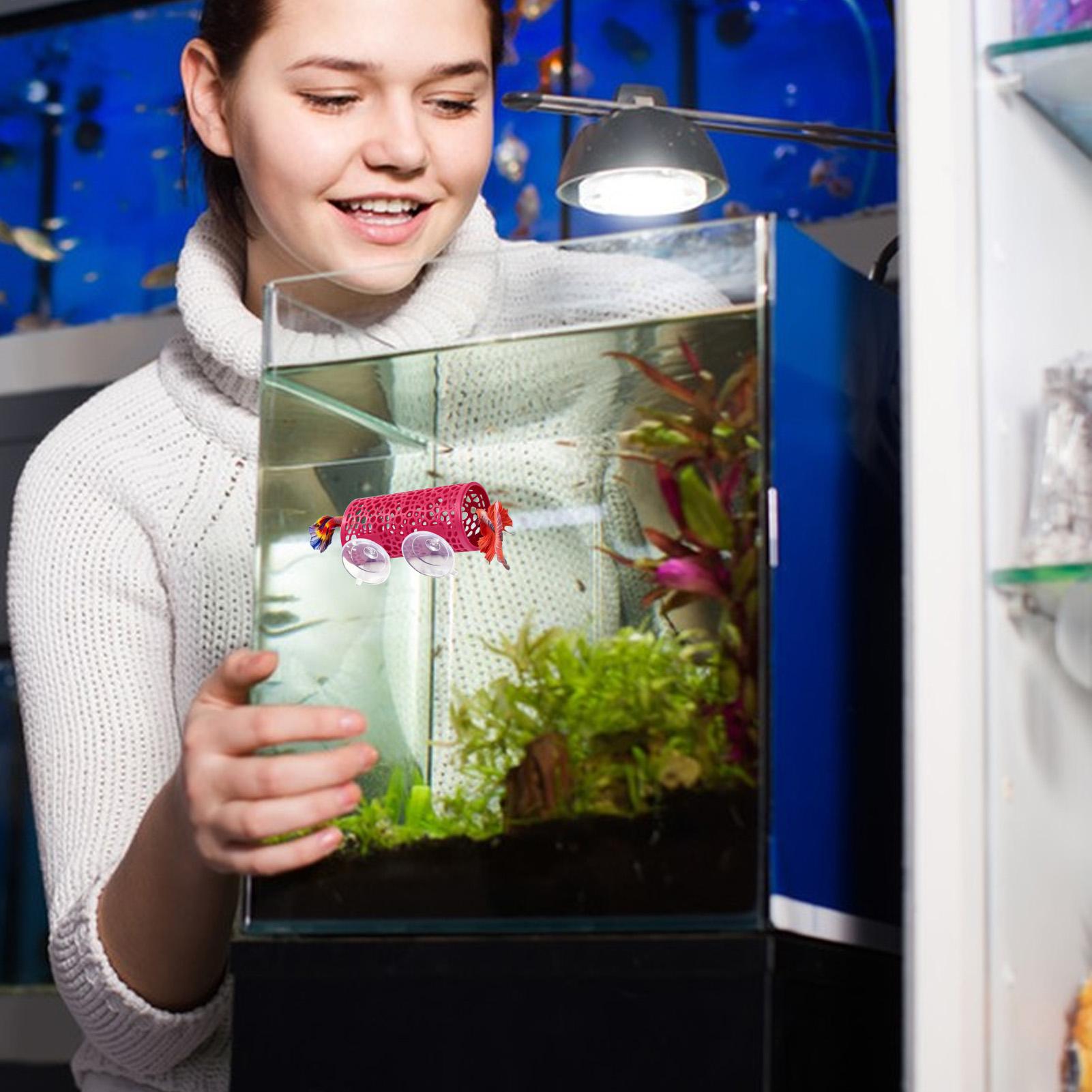 Fish Toys For Aquarium - Tunnel Giocattolo per Pesci Betta, Rifugio