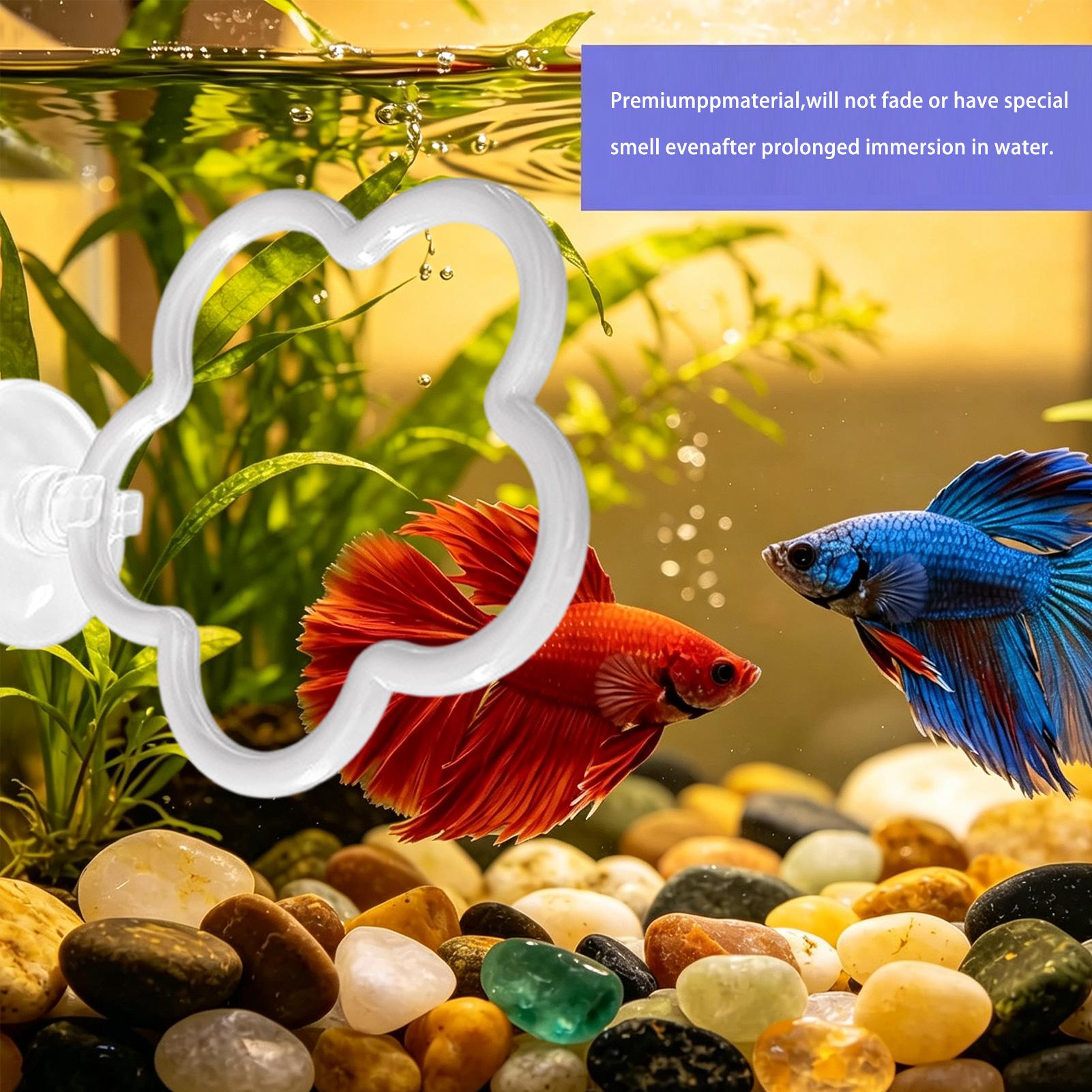Fish Toys For Aquarium - Giocattoli per acquario Betta, 5 pezzi,