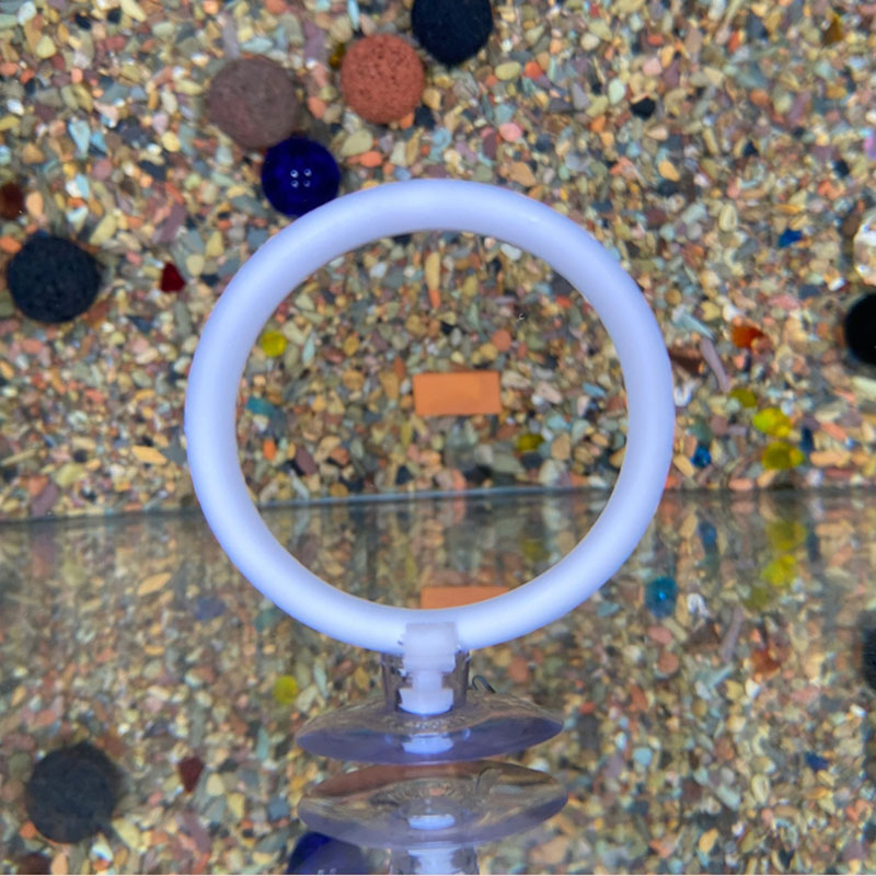 Fish Toys For Aquarium - 1 pz Anello di Addestramento Artificiale
