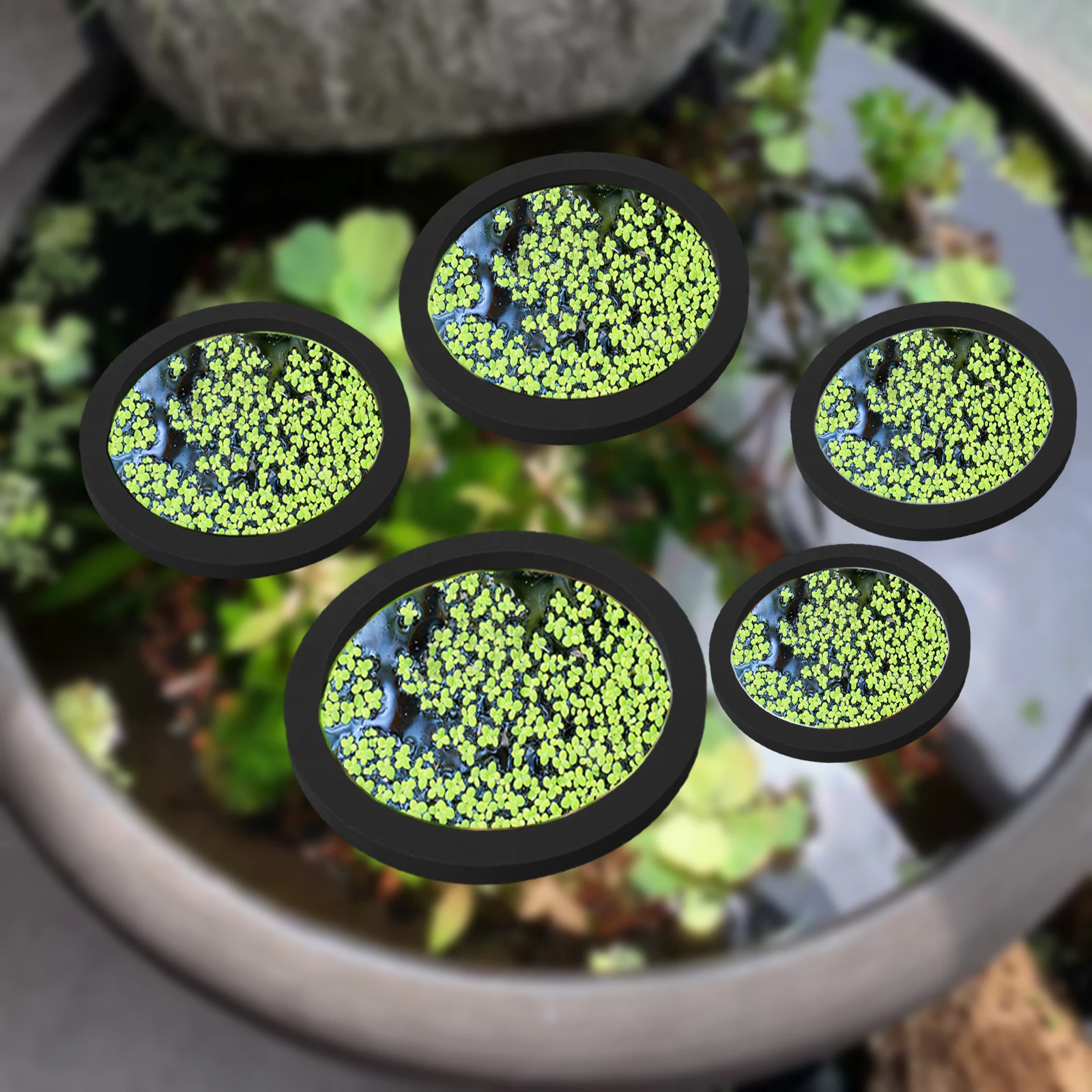 Aquarium Fish Bowl - 5 pz EVA Anello di Alimentazione