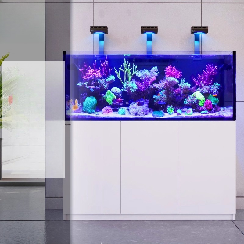 Aquarium Fish And Price - Acquario per Coralli e Pesci Marini
