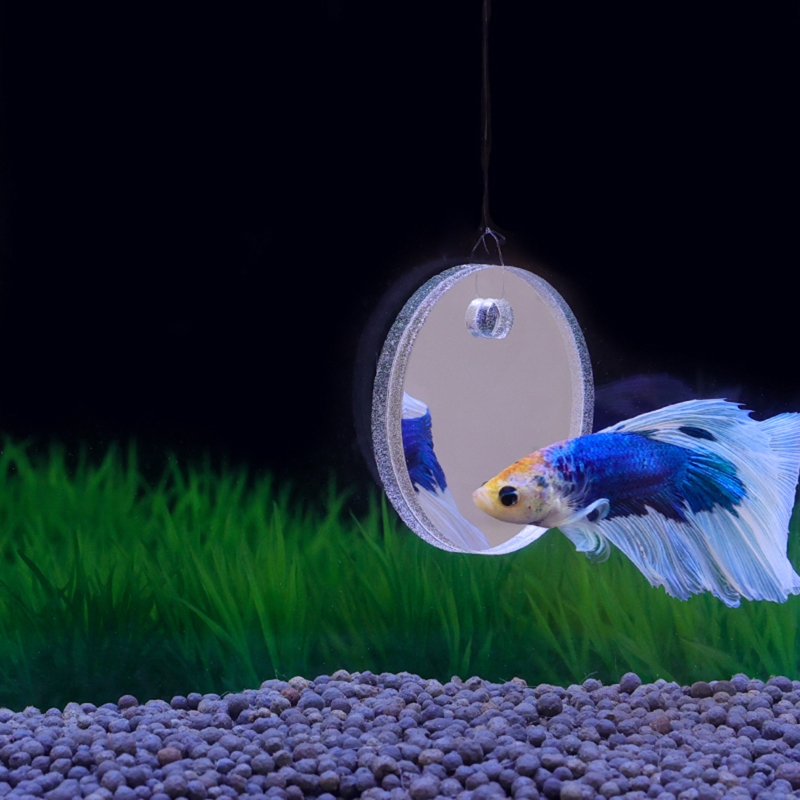 Fish Toys For Aquarium - Fish Exercise Mirror promuove i processi