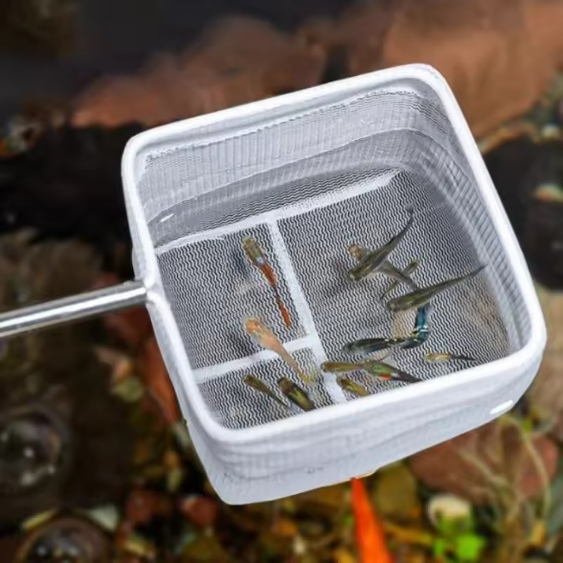 Strumenti per la Pulizia dell' - Aquarium Fish Net Small recensione e prezzo
