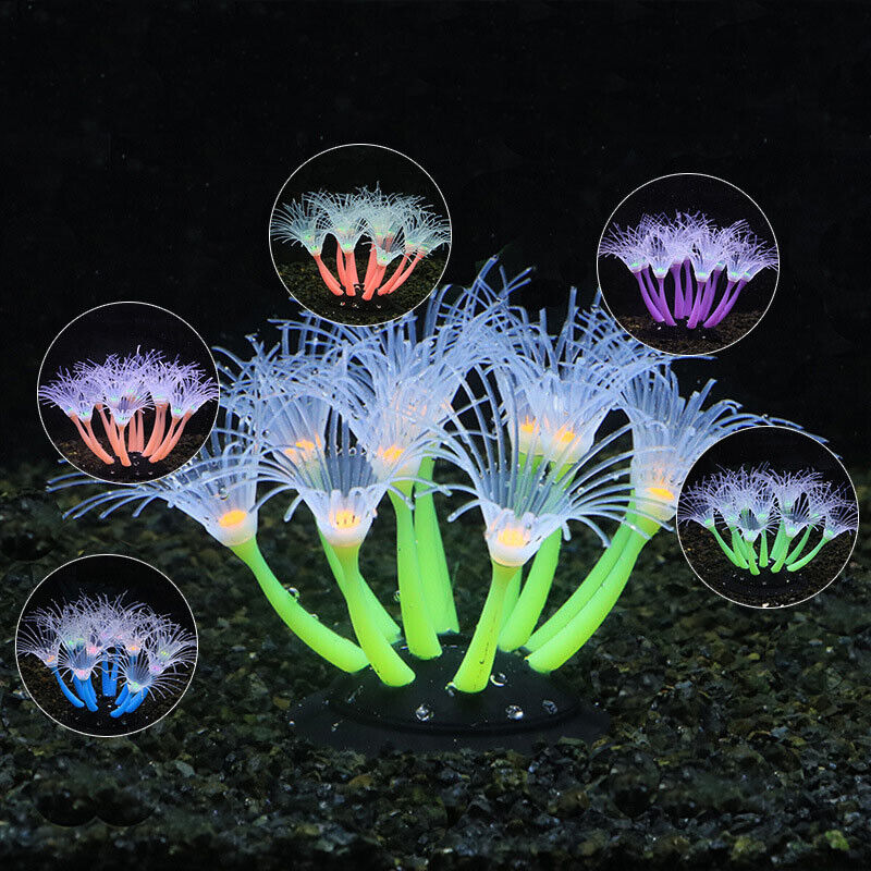Decorazioni Subacquee in Silic - Aquarium Fish Artificial recensione e prezzo