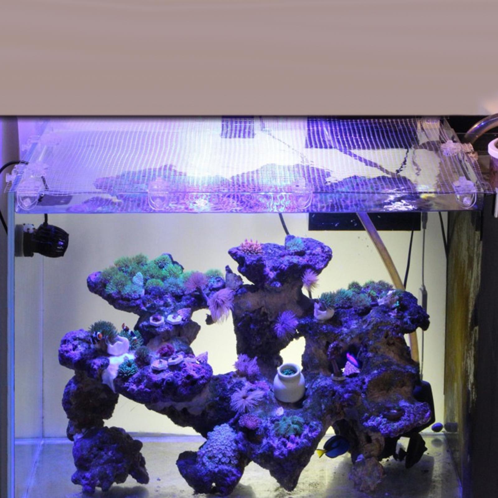 Rete Trasparente in Acrilico p - Aquarium Fish Jump Guard recensione e prezzo