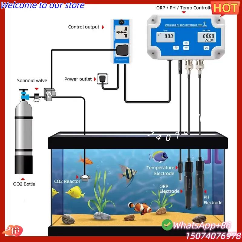 Rilevatore Wireless WiFi 2026  - Aquarium Fish In Online recensione e prezzo