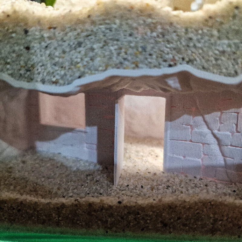 Casetta 3D Stampata per Acquar - Aquarium Fish Cave recensione e prezzo