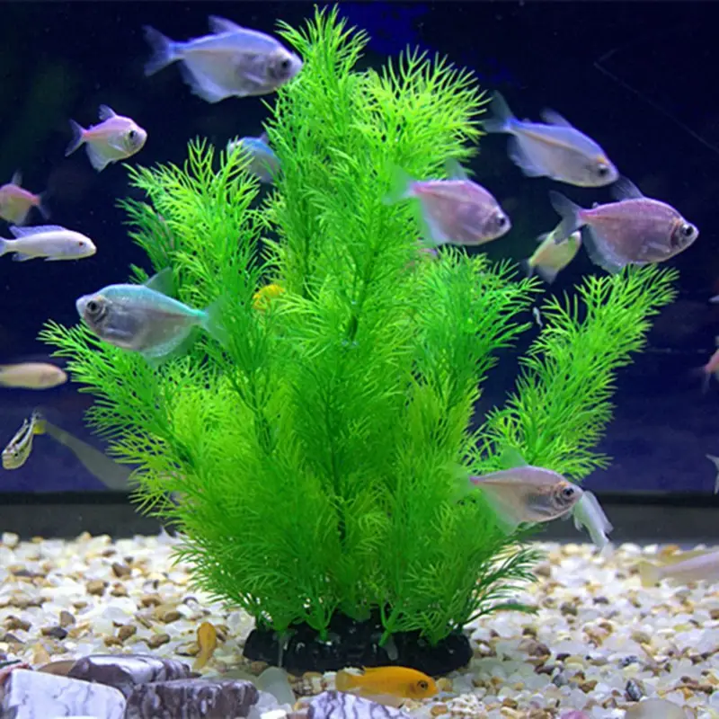 Piante artificiali per decoraz - Fish Toys For Aquarium recensione e prezzo