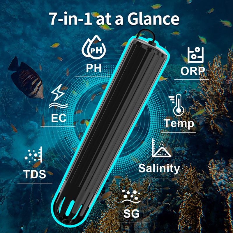 【ACQUISTA AGORA】Monitor intell - Aquarium Fish In Online recensione e prezzo