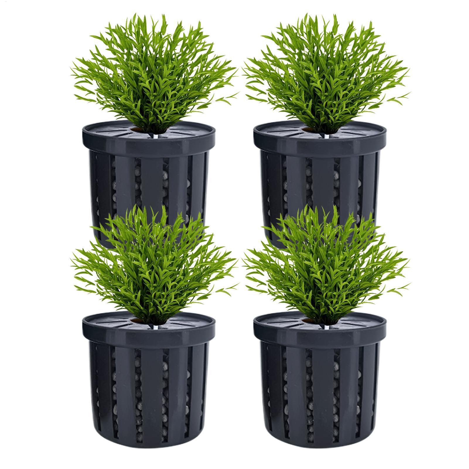Set di 4 Portapiante per Acqua - Aquarium Fish Restaurant recensione e prezzo