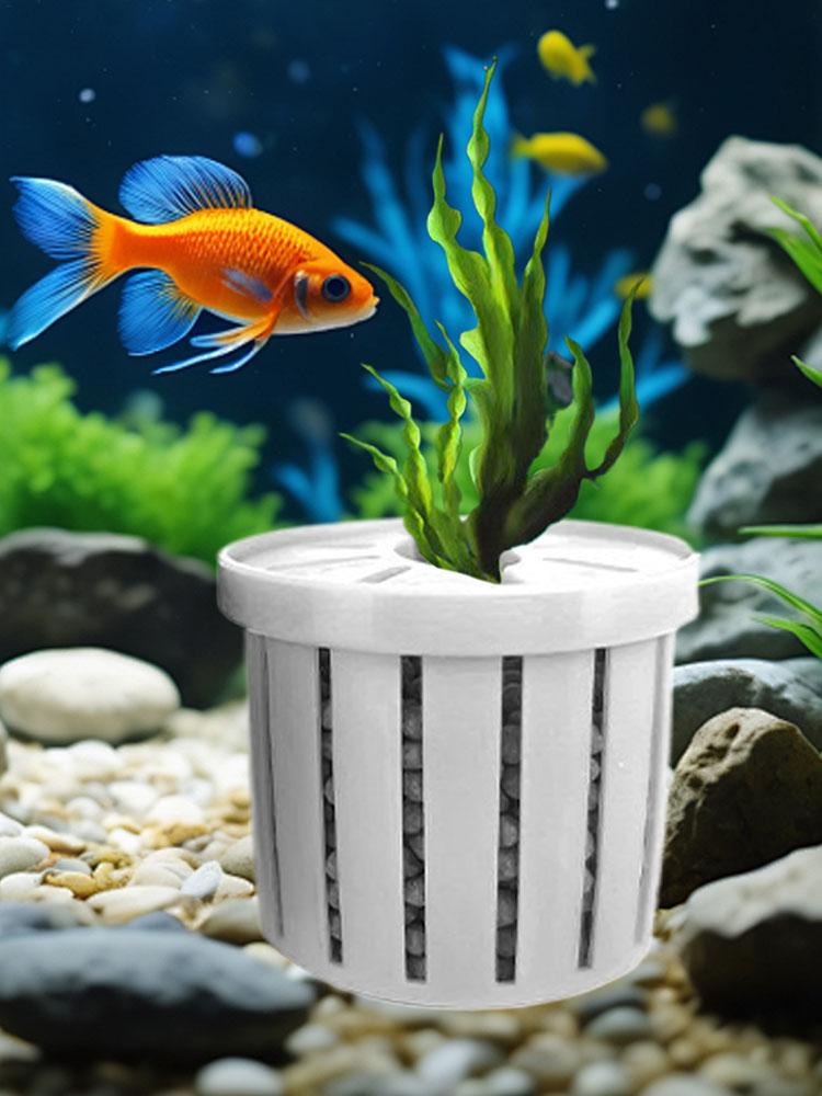 Set di 4 Portapiante per Acqua - Aquarium Fish Restaurant recensione e prezzo