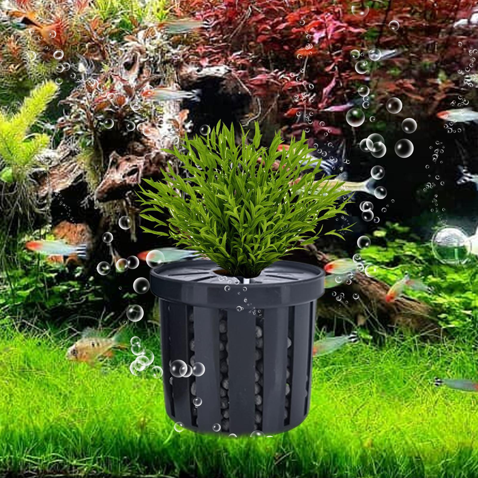 Set di 4 Portapiante per Acqua - Aquarium Fish Restaurant recensione e prezzo