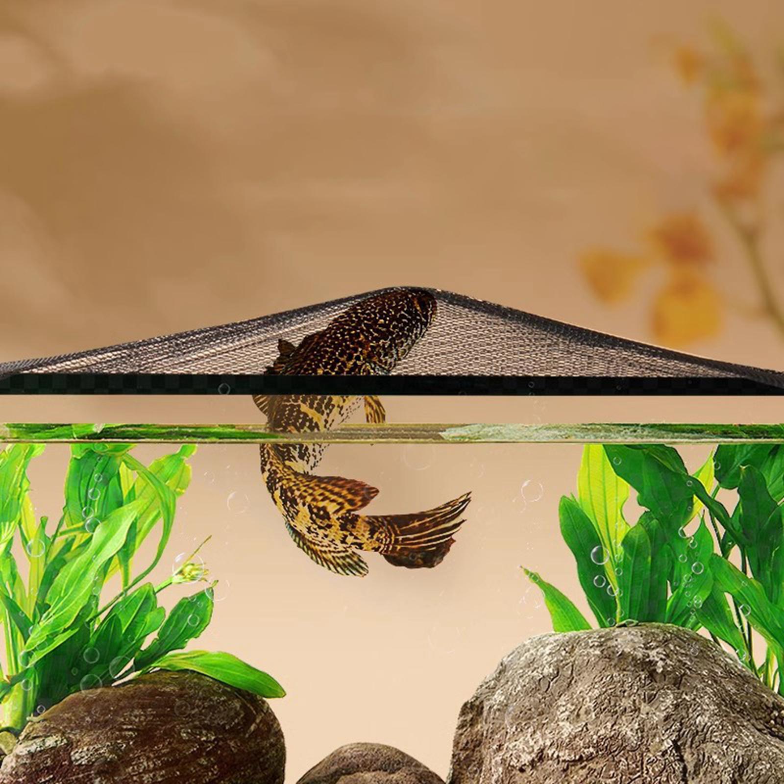 Copertura superiore per scherm - Aquarium Fish Jump Guard recensione e prezzo
