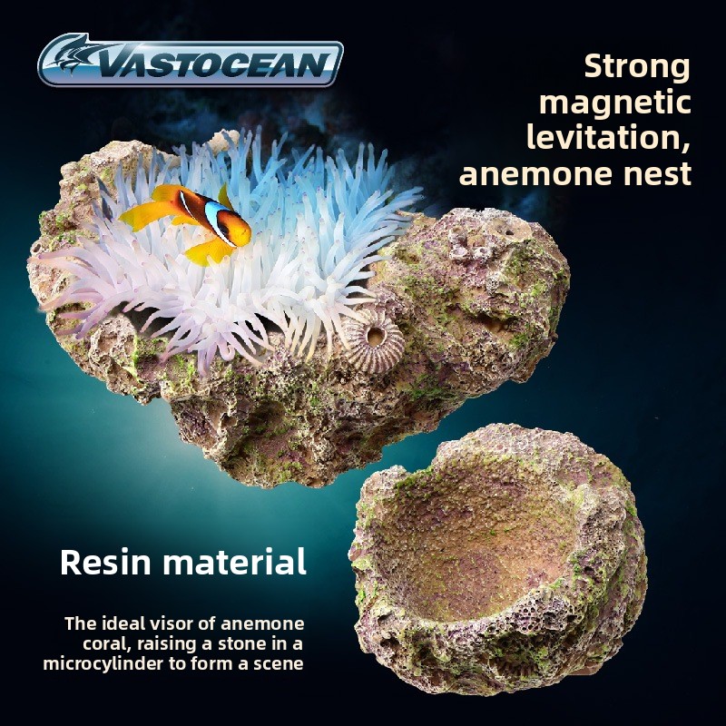 VASTOCEAN Porta Anemone Magnet - Aquarium Fish Cave recensione e prezzo