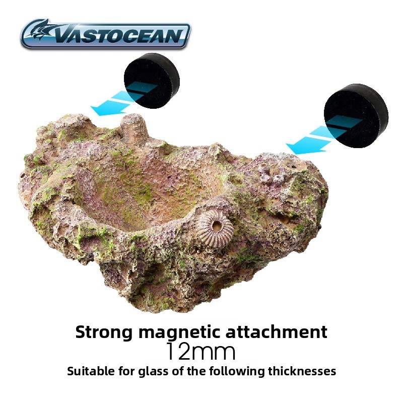 VASTOCEAN Porta Anemone Magnet - Aquarium Fish Cave recensione e prezzo