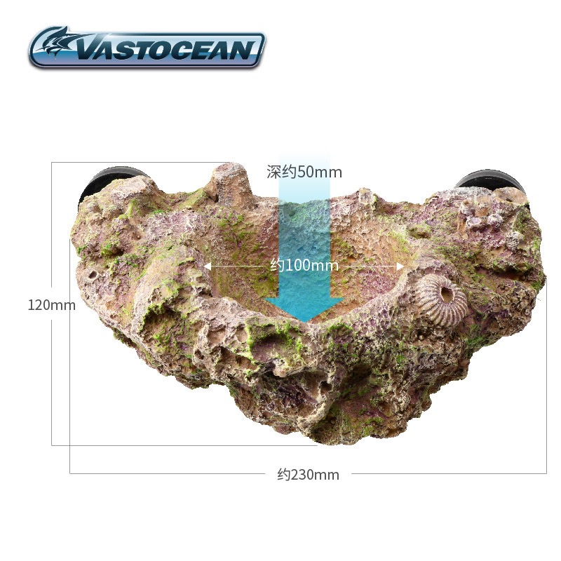 VASTOCEAN Porta Anemone Magnet - Aquarium Fish Cave recensione e prezzo