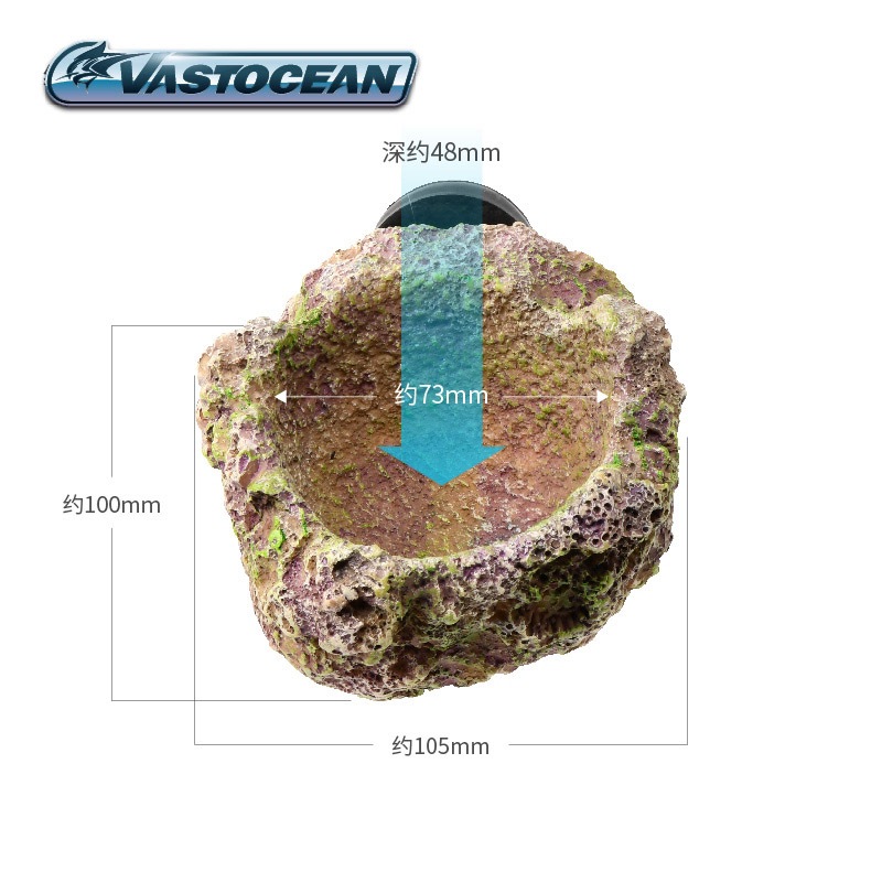 VASTOCEAN Porta Anemone Magnet - Aquarium Fish Cave recensione e prezzo