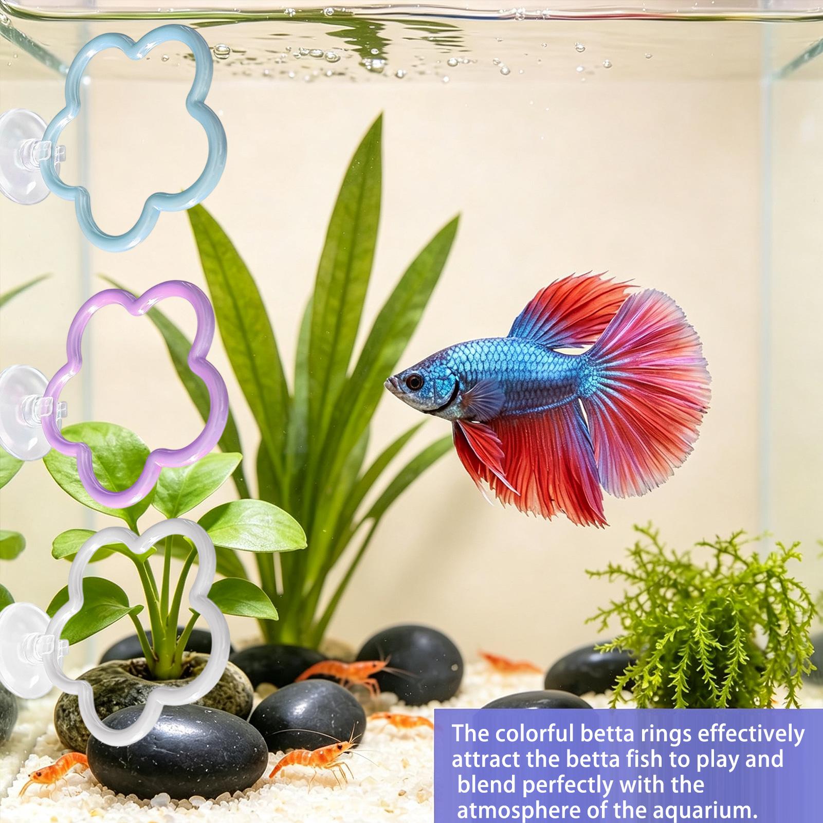 Giocattoli per acquario Betta, - Fish Toys For Aquarium recensione e prezzo