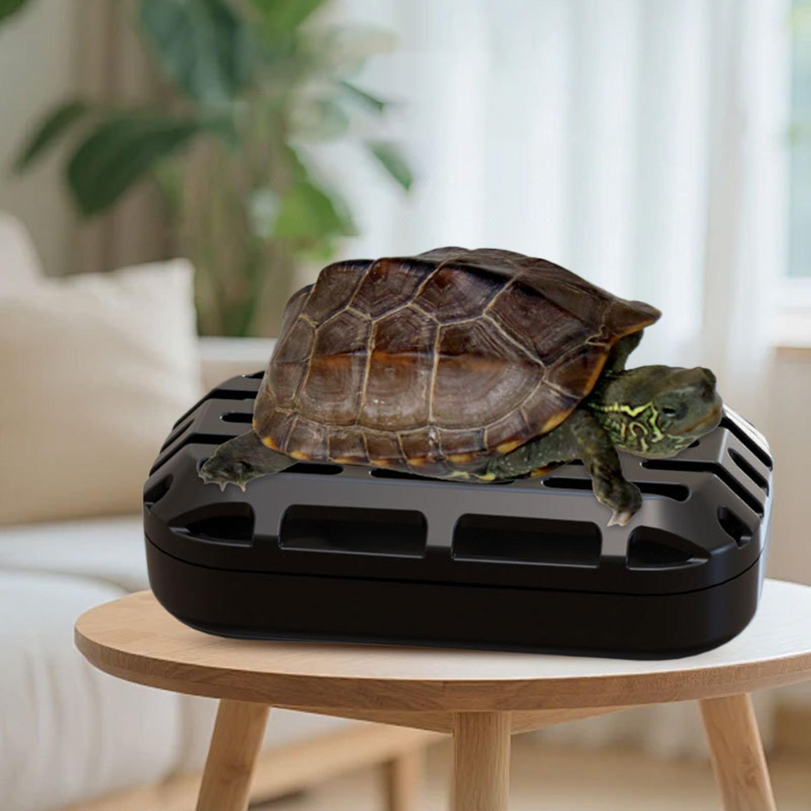 Raccoglitore di Escrementi per - Aquarium Fish Restaurant recensione e prezzo