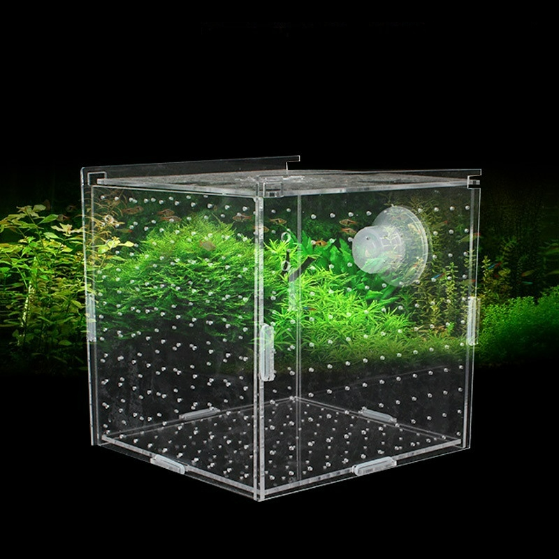 Scatola di isolamento in acril - Aquarium Fish Net Small recensione e prezzo