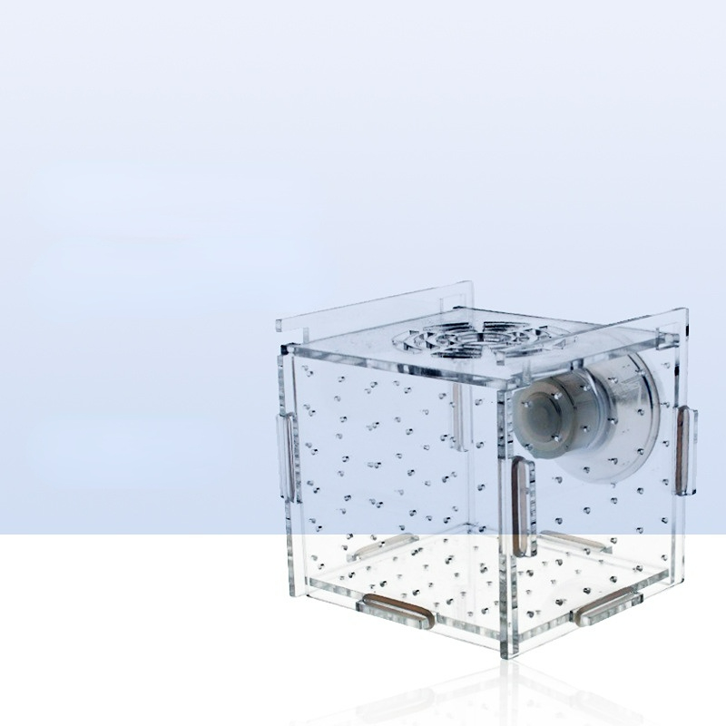 Scatola di isolamento in acril - Aquarium Fish Net Small recensione e prezzo
