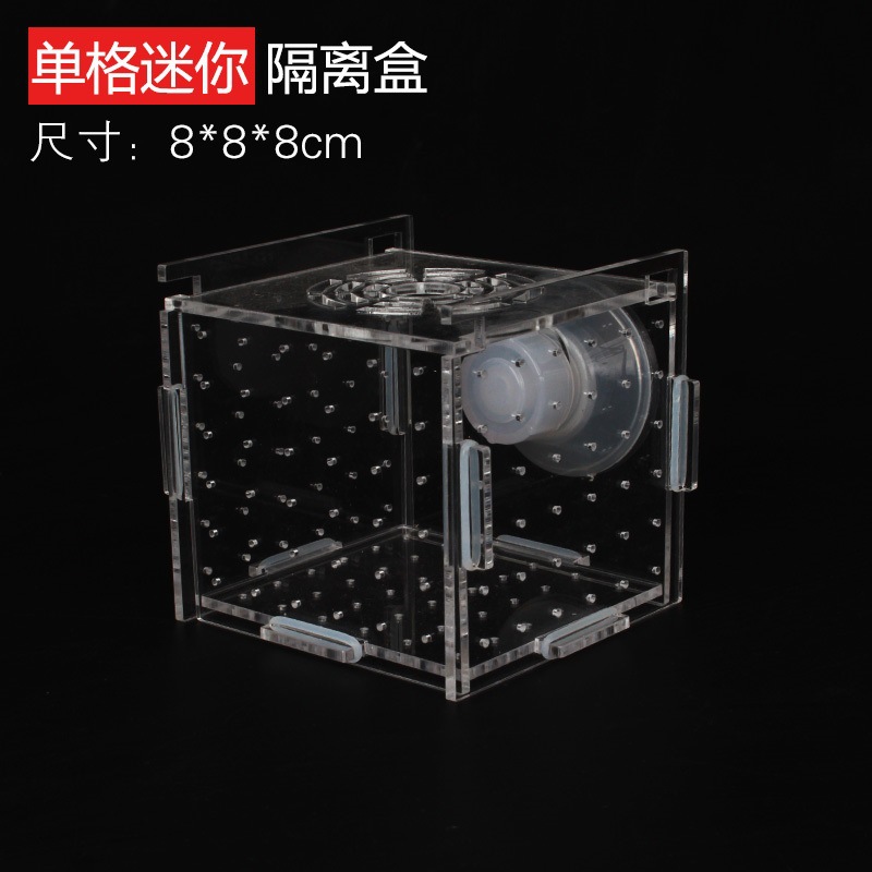 Scatola di isolamento in acril - Aquarium Fish Net Small recensione e prezzo