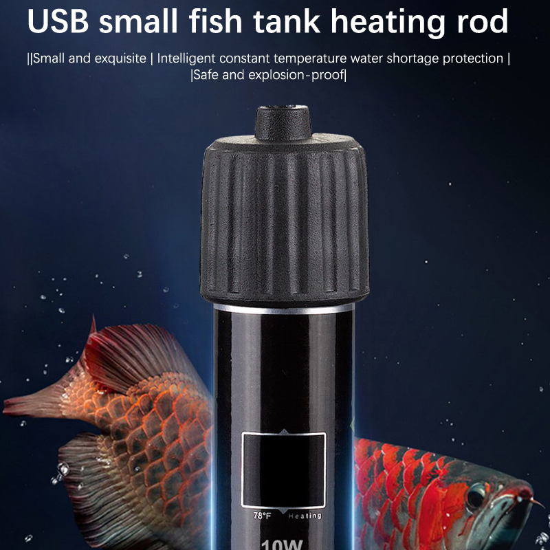Asta riscaldante per mini acqu - Aquarium Heater Submersible recensione e prezzo