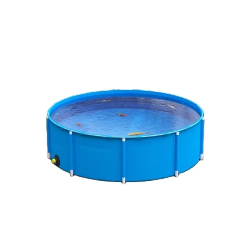 Acquario per acquario in PVC b - Aquarium Fish And Price recensione e prezzo