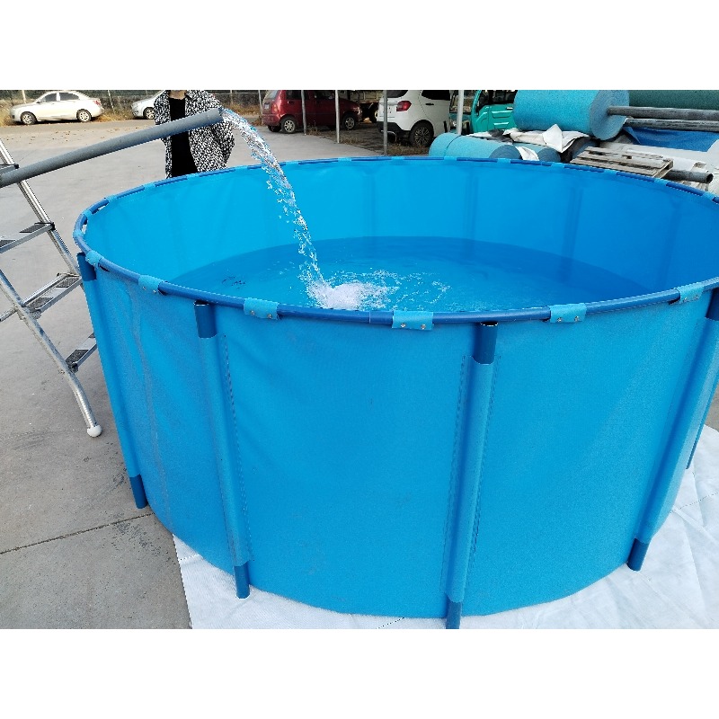 Acquario per acquario in PVC b - Aquarium Fish And Price recensione e prezzo