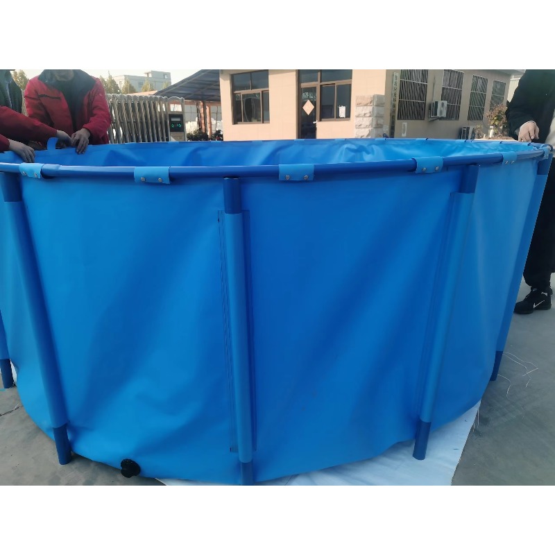 Acquario per acquario in PVC b - Aquarium Fish And Price recensione e prezzo