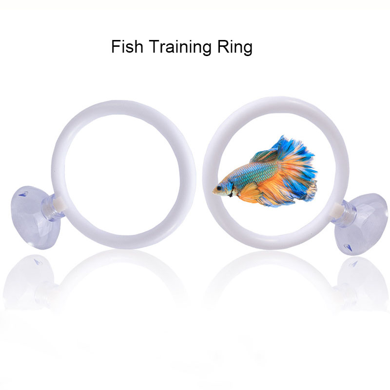 1 pz Anello di Addestramento A - Fish Toys For Aquarium recensione e prezzo