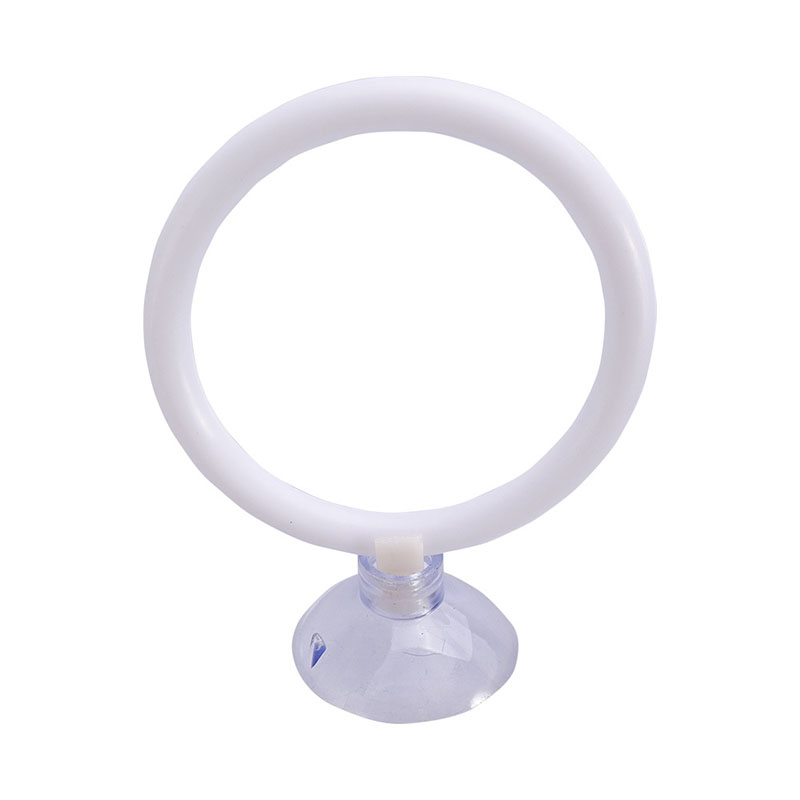 1 pz Anello di Addestramento A - Fish Toys For Aquarium recensione e prezzo