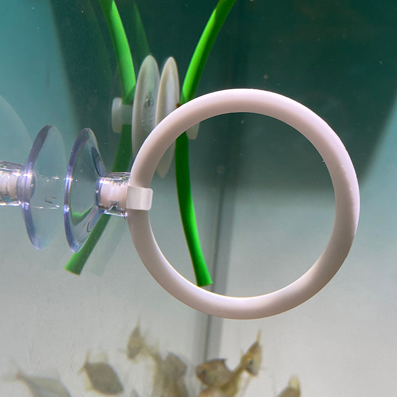 1 pz Anello di Addestramento A - Fish Toys For Aquarium recensione e prezzo