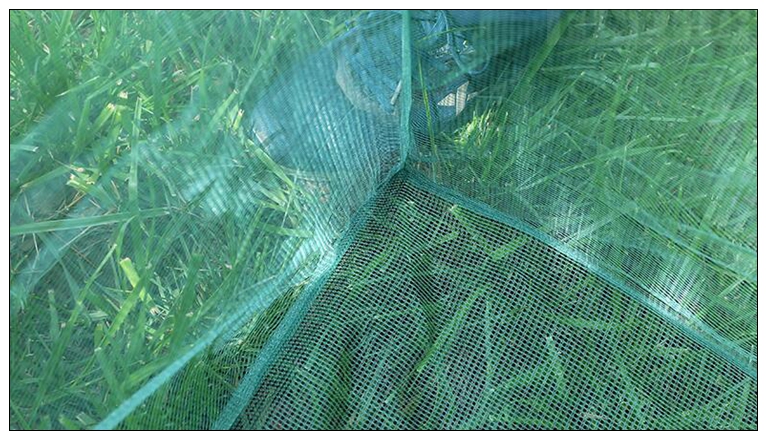 Pesca 3mm Palo Piccola Maglia  - Aquarium Fish Net Small recensione e prezzo