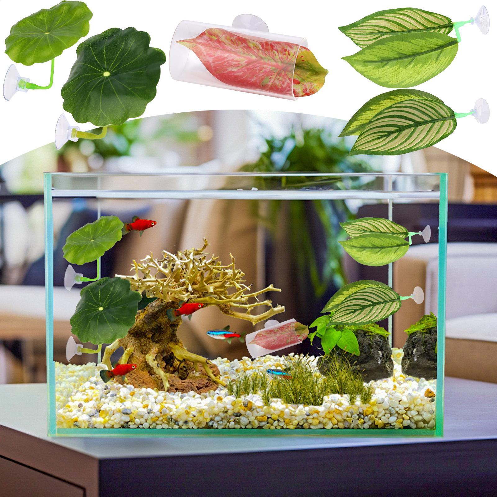 Amaca per pesci Betta 5 pezzi  - Fish Toys For Aquarium recensione e prezzo