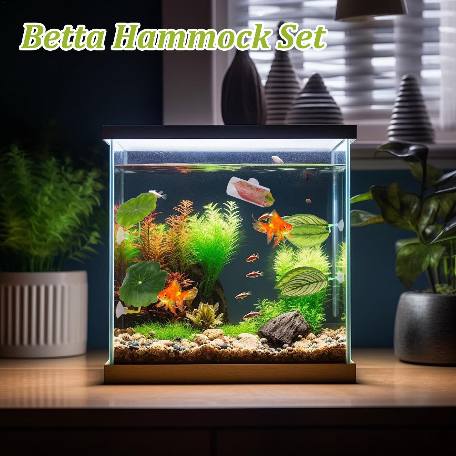 Amaca per pesci Betta 5 pezzi  - Fish Toys For Aquarium recensione e prezzo