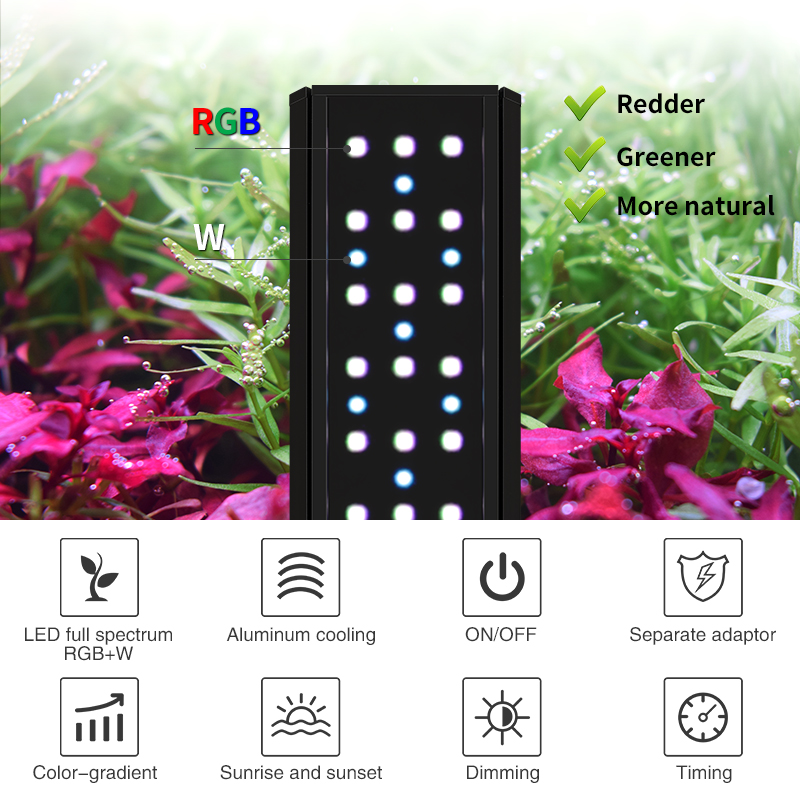 ZXY WEEKAQUA V300SE Miglior Pr - Aquarium Fish And Price recensione e prezzo