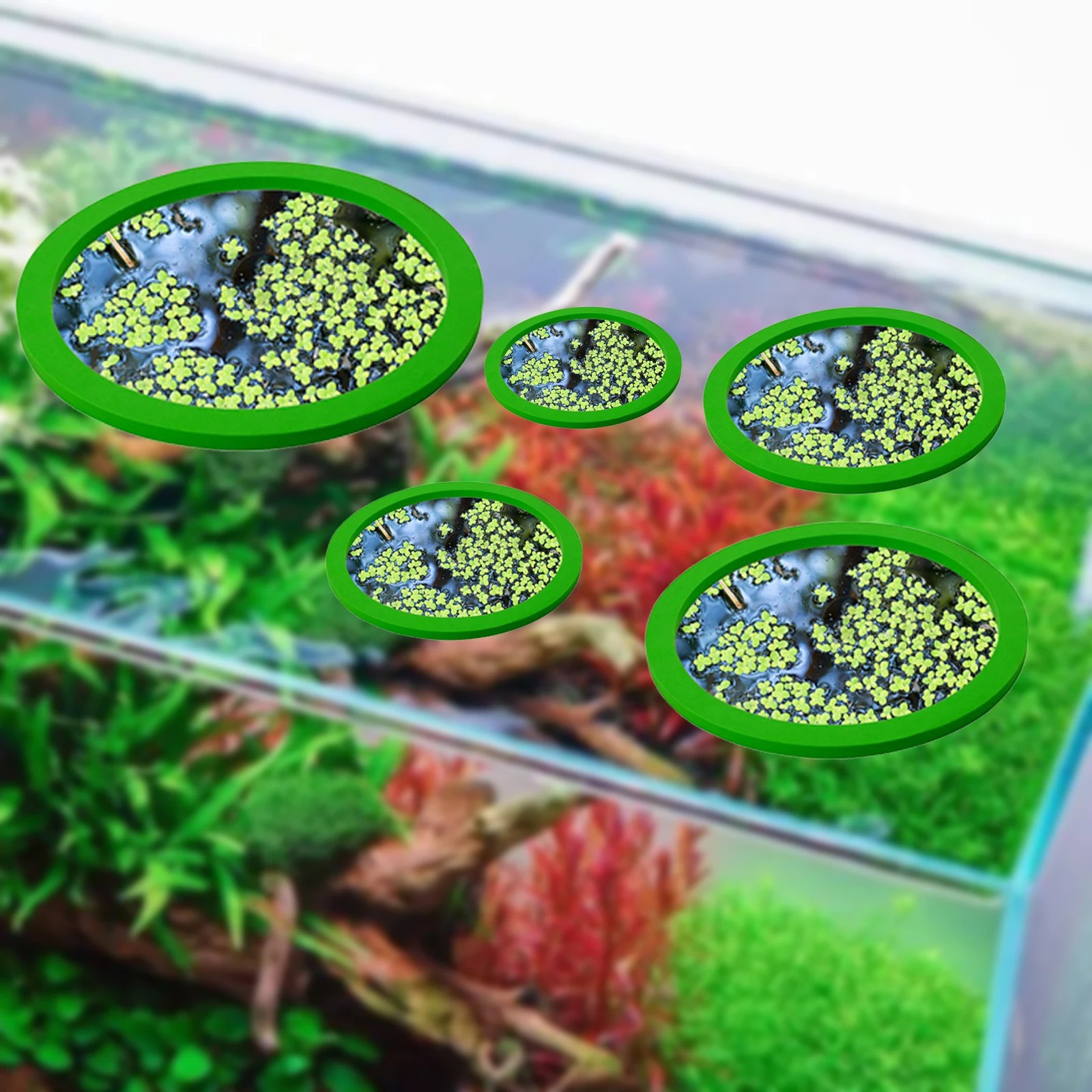 5 pz EVA Anello di Alimentazio - Aquarium Fish Bowl recensione e prezzo
