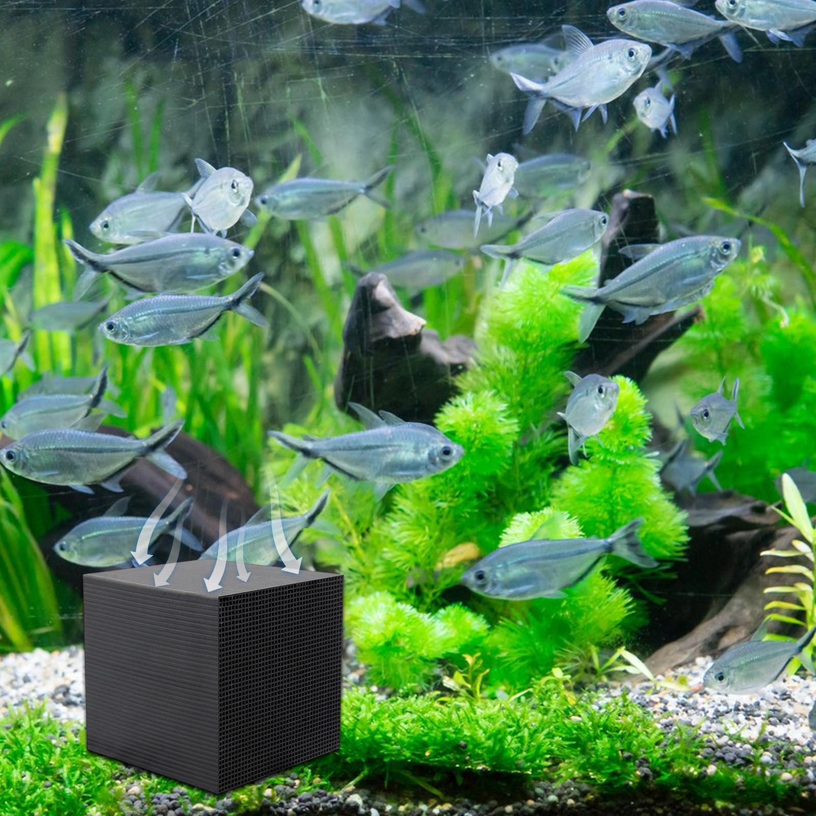 Cubo depuratore d'acqua per ac - Aquarium Fish Cave recensione e prezzo