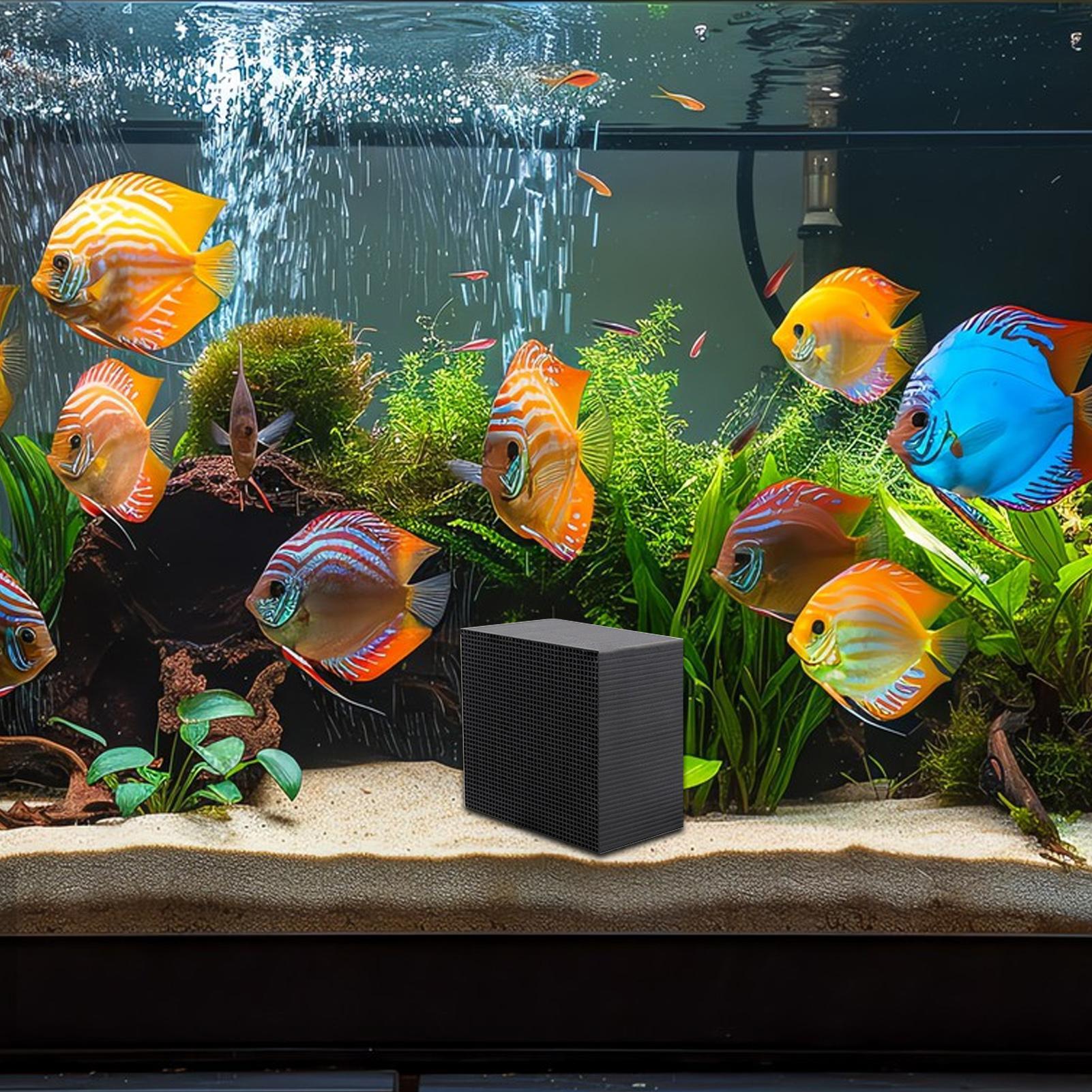 Cubo depuratore d'acqua per ac - Aquarium Fish Cave recensione e prezzo
