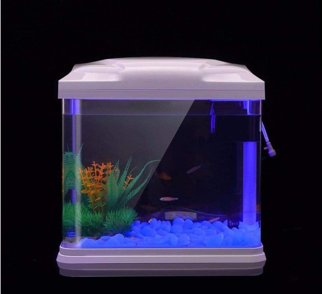 Rocce per acquari che si illum - Aquarium Fish Bowl recensione e prezzo