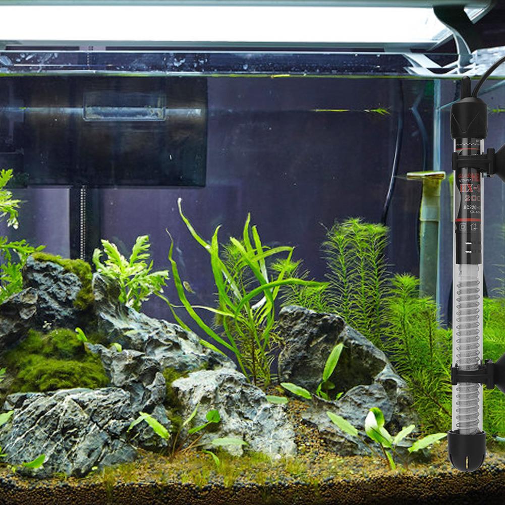 Riscaldatore per Acquario Rego - Aquarium Heater Submersible recensione e prezzo