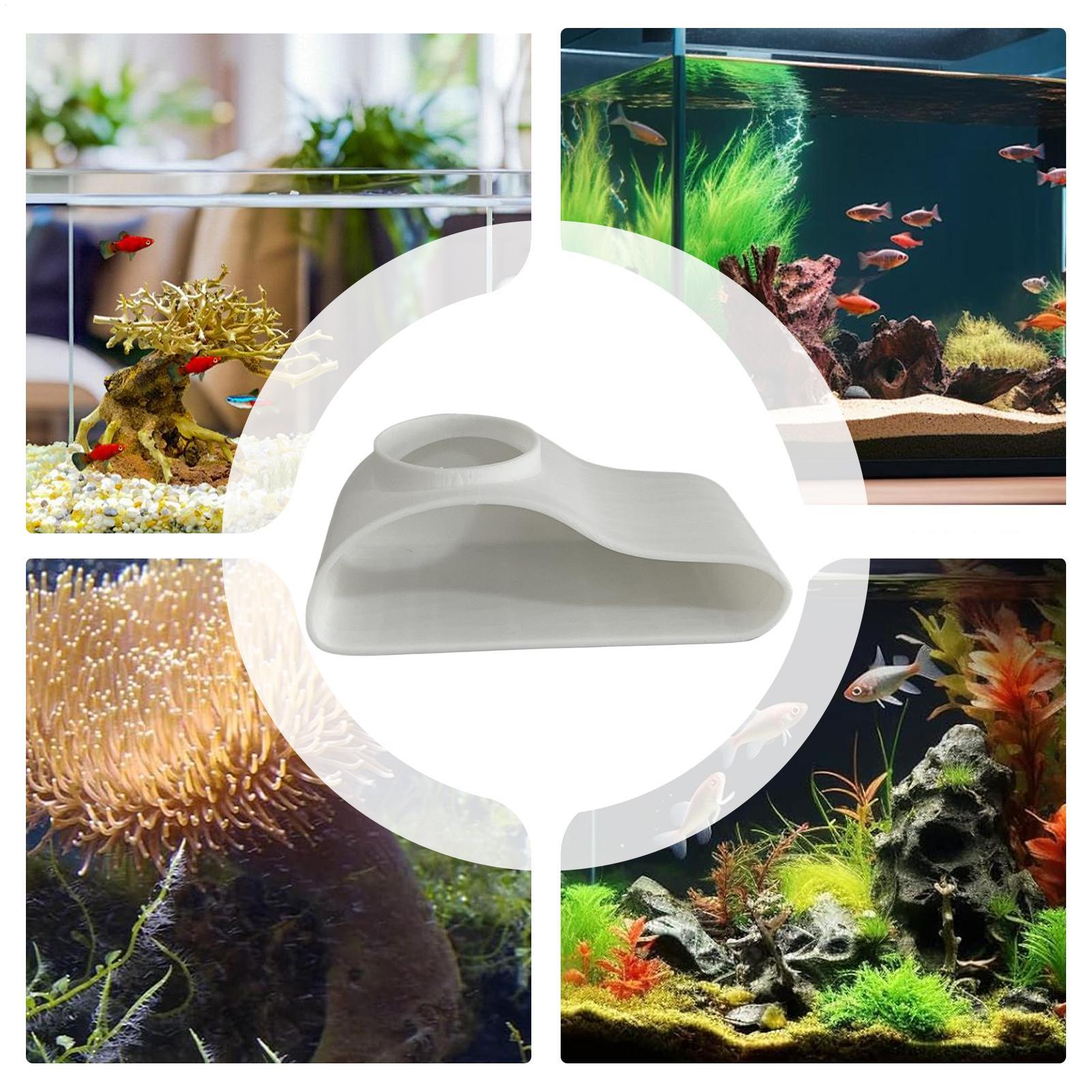 Acquario Tunnel sotterraneo Gr - Aquarium Fish Restaurant recensione e prezzo