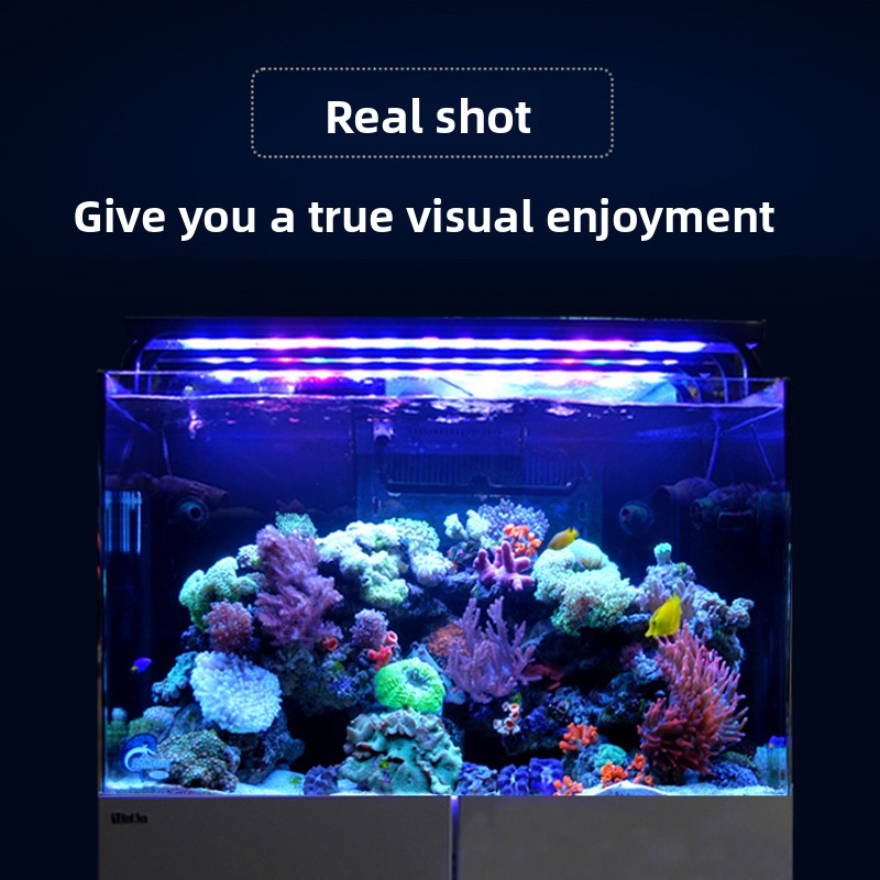 Acquario per Coralli e Pesci M - Aquarium Fish And Price recensione e prezzo