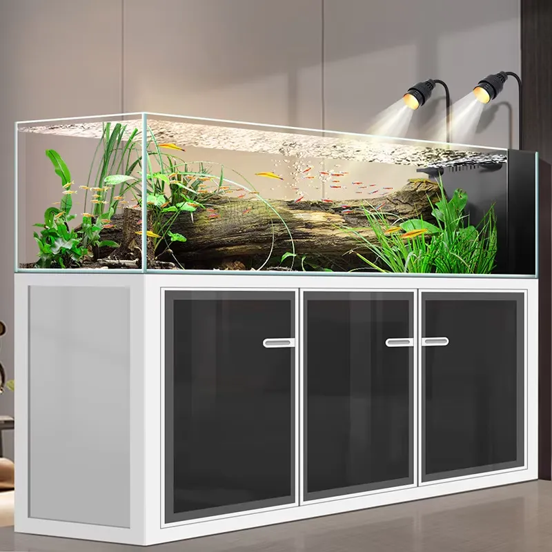 Acquario in Vetro Ultra Bianco - Aquarium Fish And Price recensione e prezzo