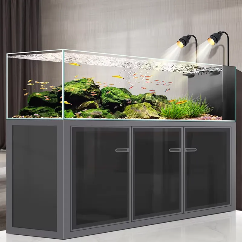 Acquario in Vetro Ultra Bianco - Aquarium Fish And Price recensione e prezzo