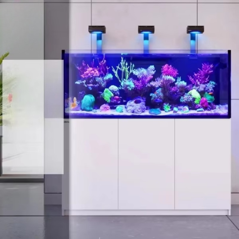 Moderno acquario refrigerato i - Aquarium Fish Restaurant recensione e prezzo