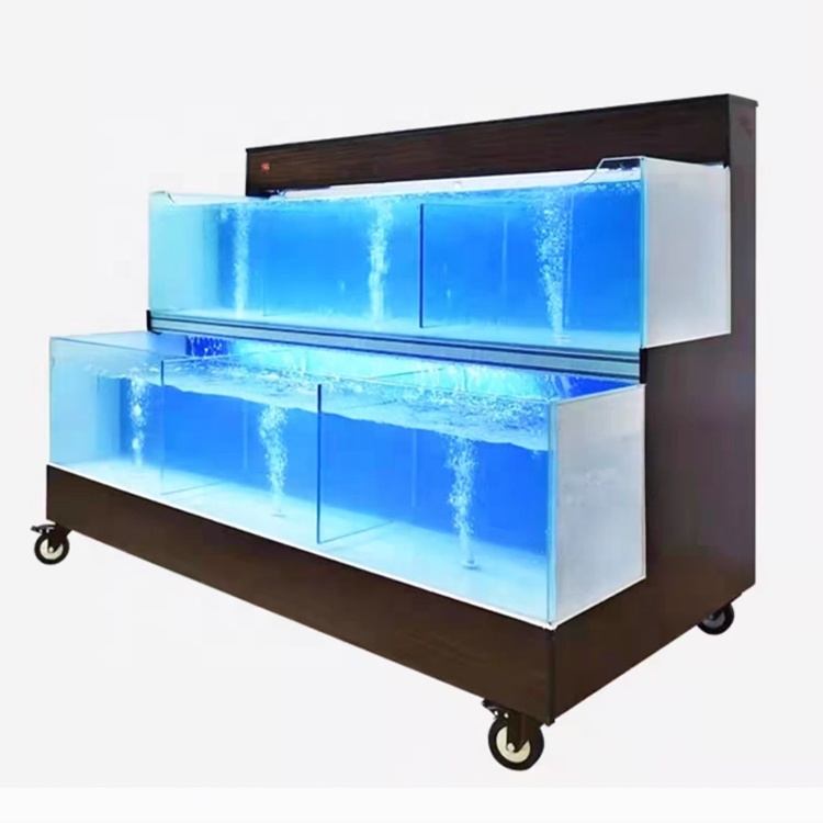 Sistema Operativo Intelligente - Aquarium Fish Restaurant recensione e prezzo