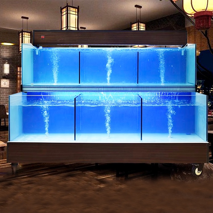 Sistema Operativo Intelligente - Aquarium Fish Restaurant recensione e prezzo