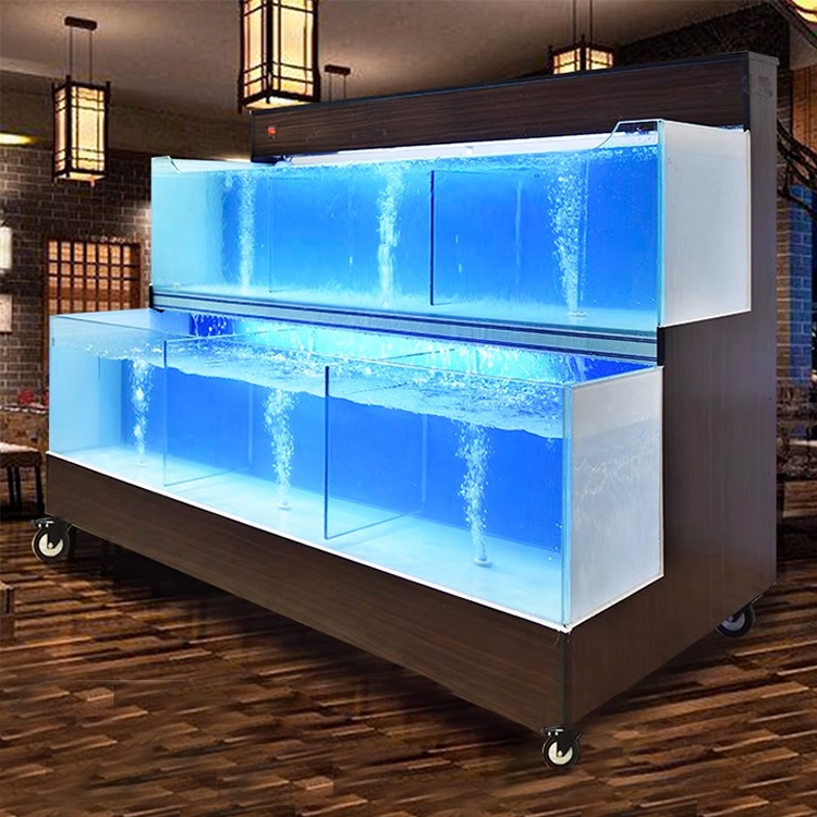 Sistema Operativo Intelligente - Aquarium Fish Restaurant recensione e prezzo